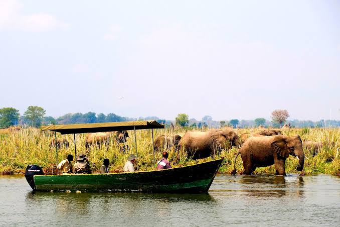 Boat Safaris
