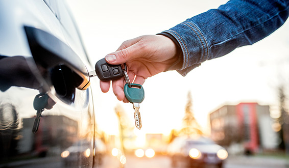 Car Rental